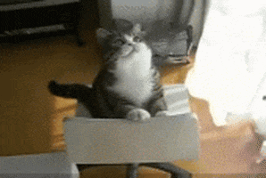 200.gif