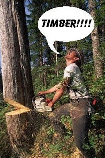 lumberjack2.JPG