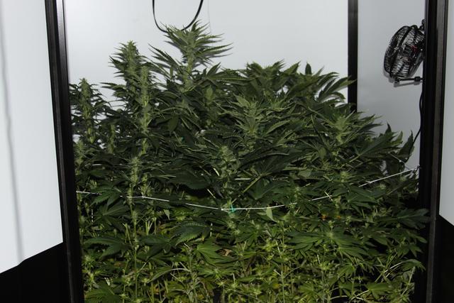 KEG7W.jpg