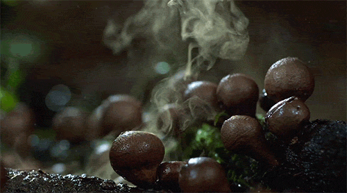 cee8ee389c383c6cfbea2cc9932158c4.gif