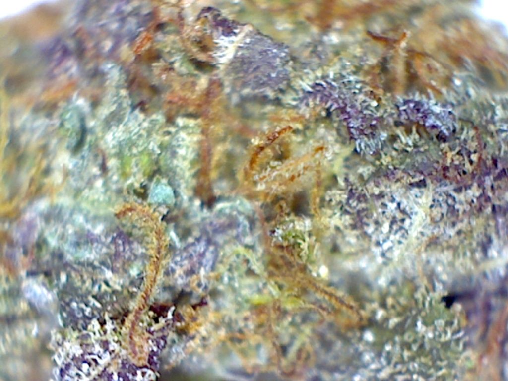 Image42_zps85e741b1.jpg