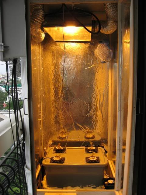 Grow_Box.jpg