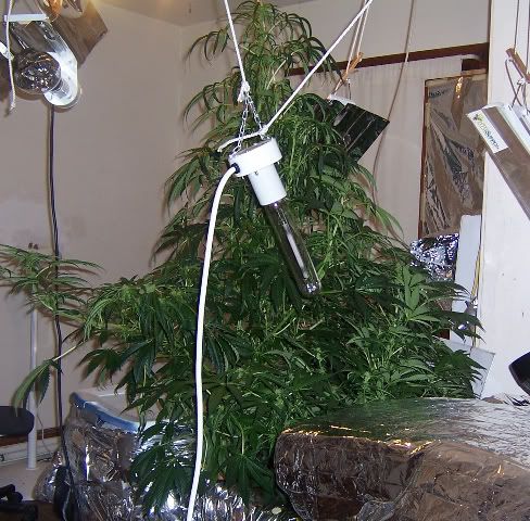 000_2770.jpg