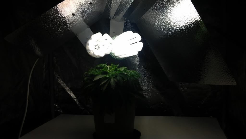 IMAG0631_zps8d8114fd.jpg