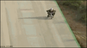 gifs_07.gif