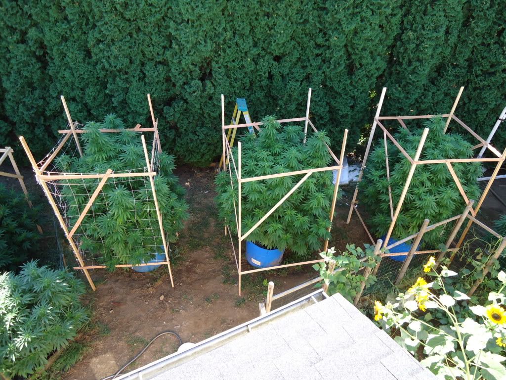 DSC06044.jpg