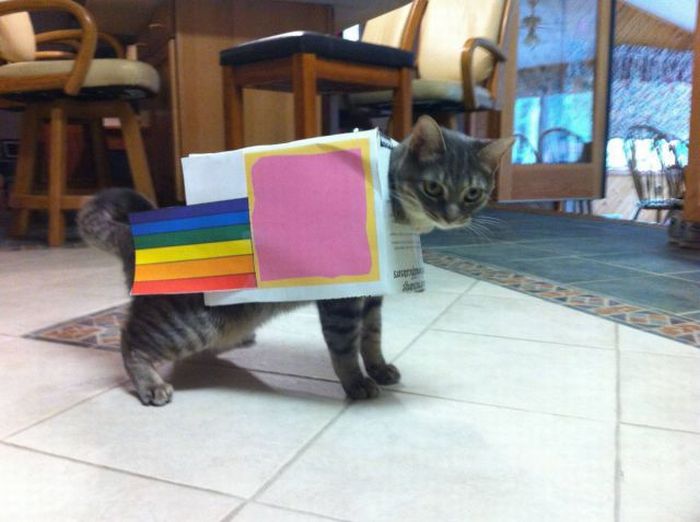 acid_picdump_83.jpg