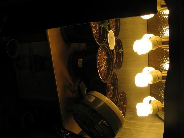 Picture006.jpg