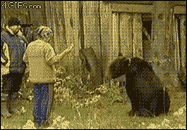 tumblr_mcvb9mjDV41qdlh1io1_400.gif