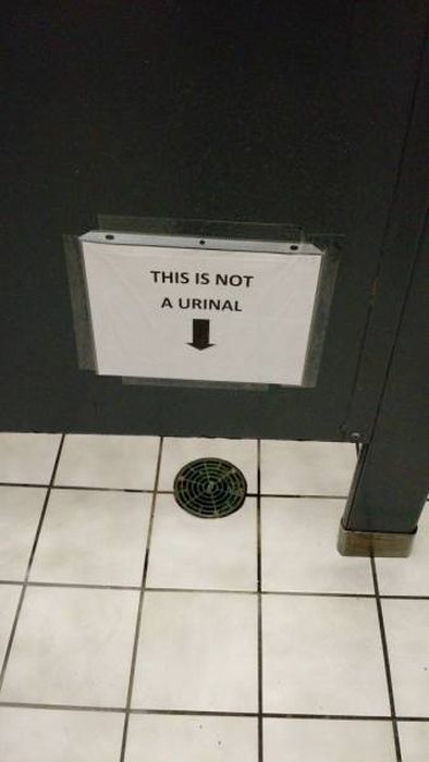 explanation_for_this_anyone_11.jpg