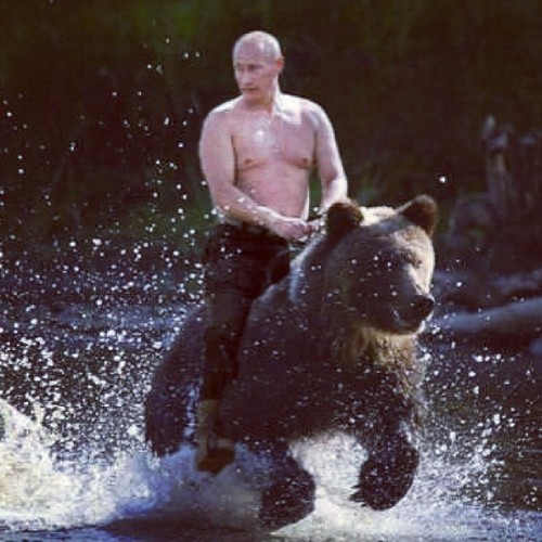 putin-bear.jpg
