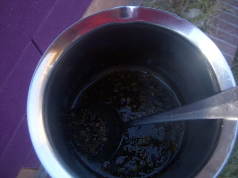 DSCN0567.jpg