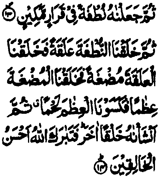 Image22.gif