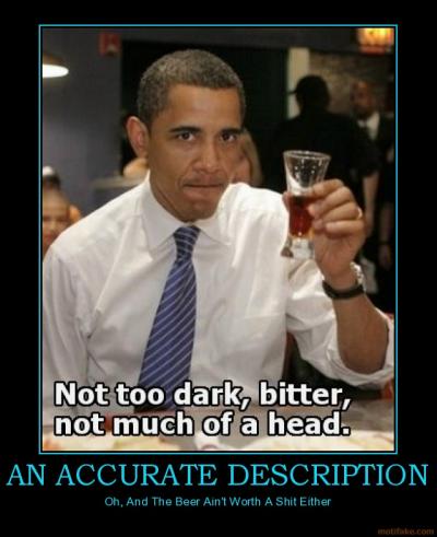 obama-an-accurate-description.jpg