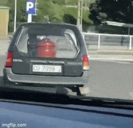 1680529369_8.gif