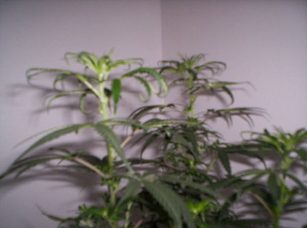 asdf1234.jpg