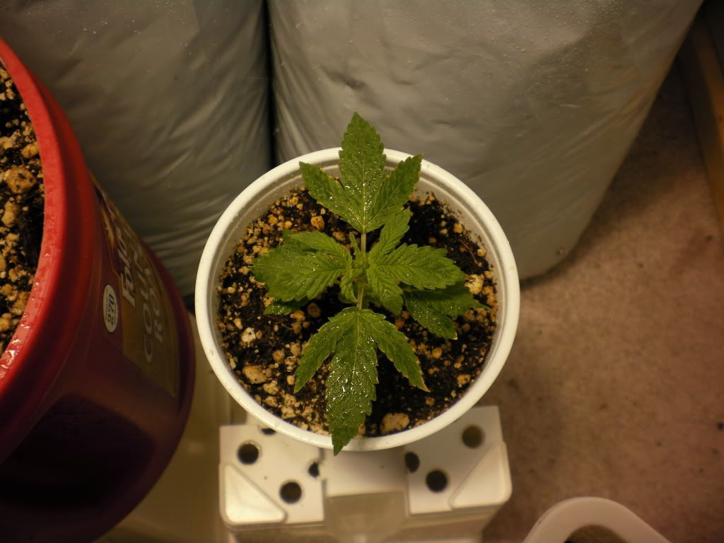 10-11-11009.jpg