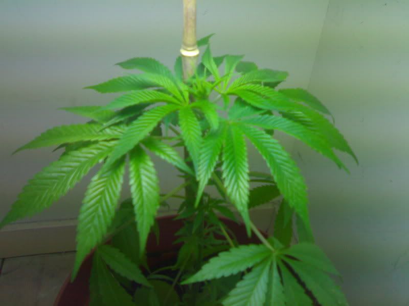 23092007166.jpg