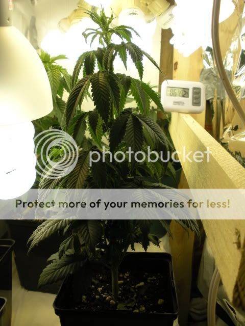 DSCN0616.jpg