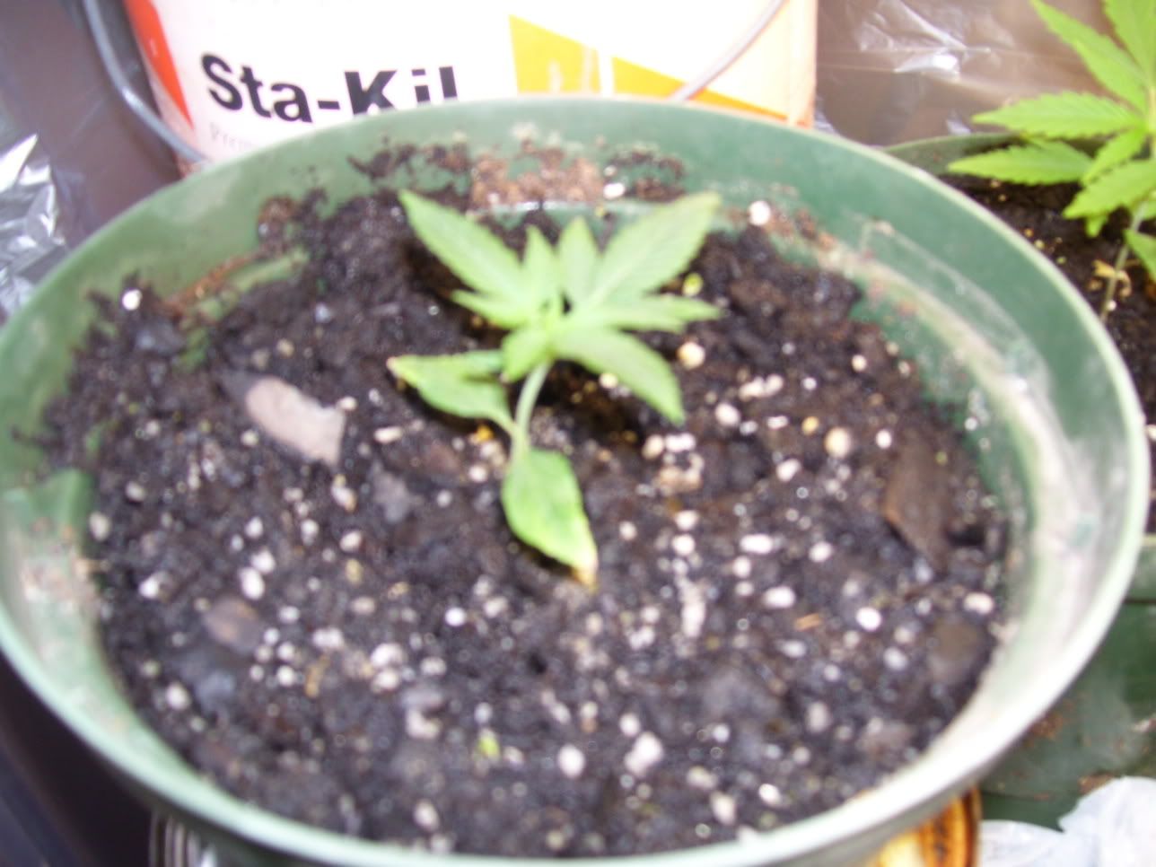 100_1261.jpg