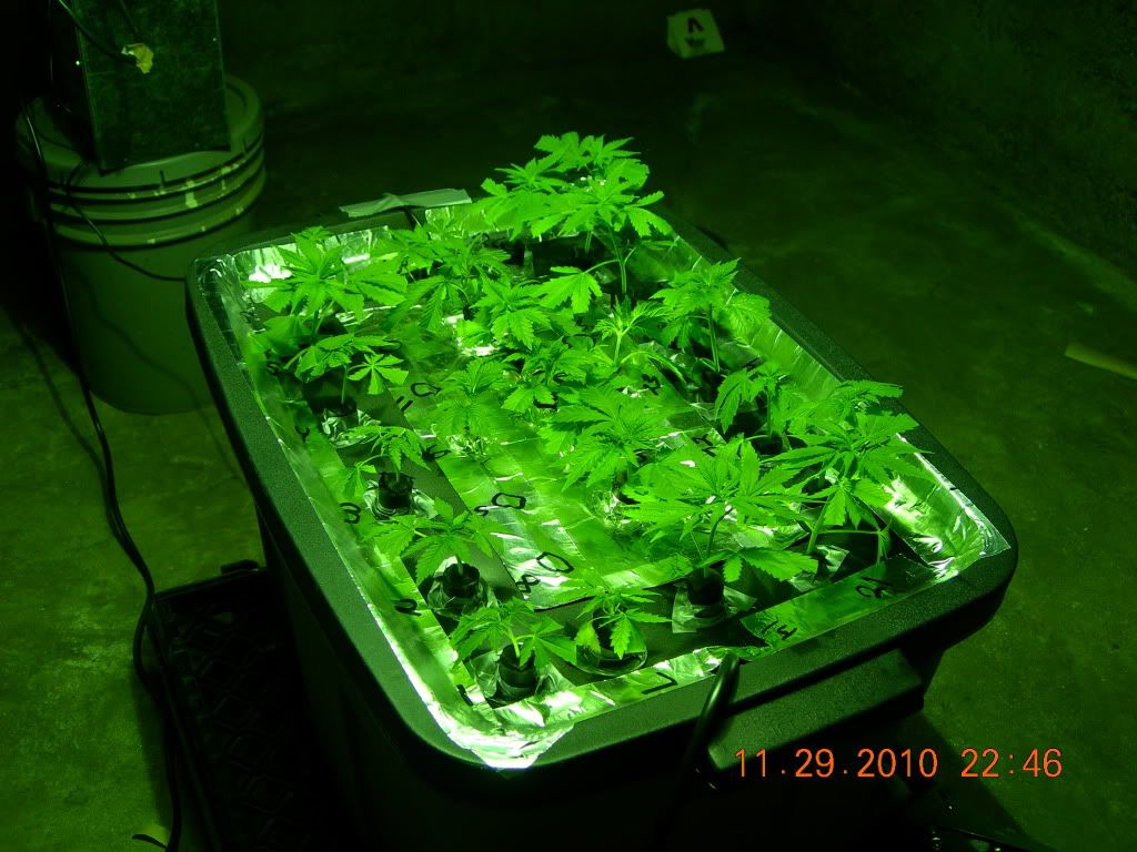 DSCN6948.jpg