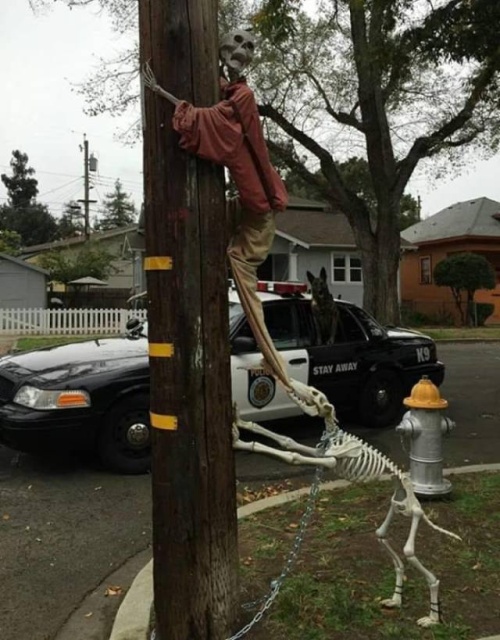 acid_picdump_42.jpg