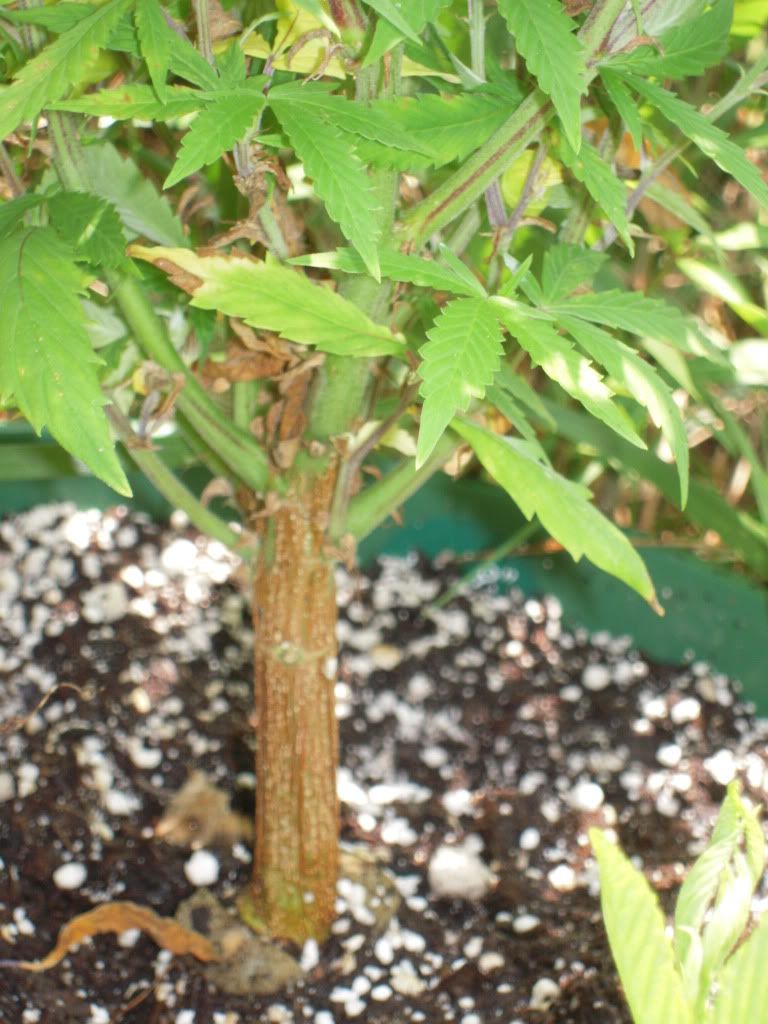 DSCN0870.jpg