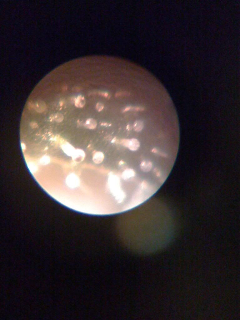tricromes60x100x001.jpg
