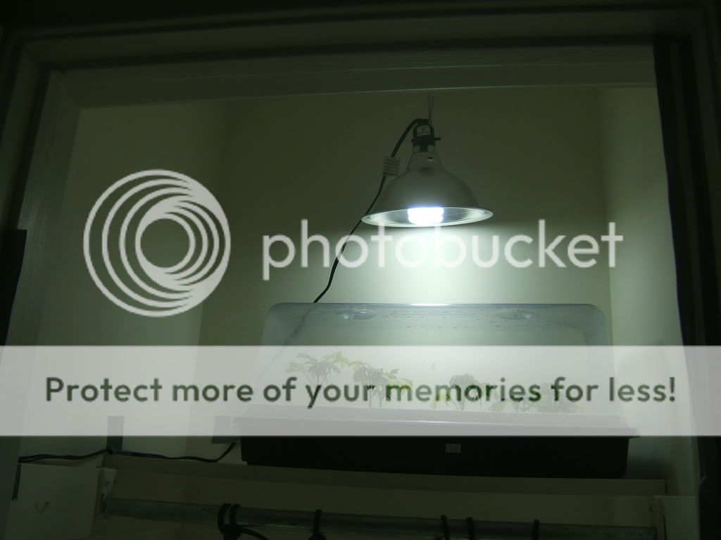 DSCF1855.jpg