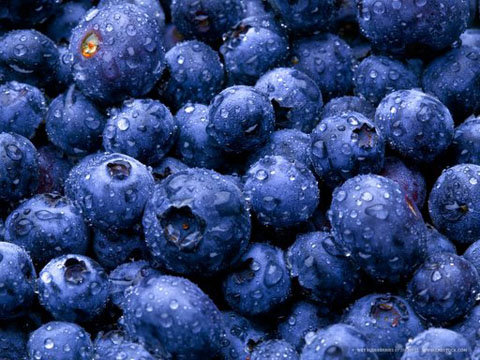 wet-blueberries.jpg