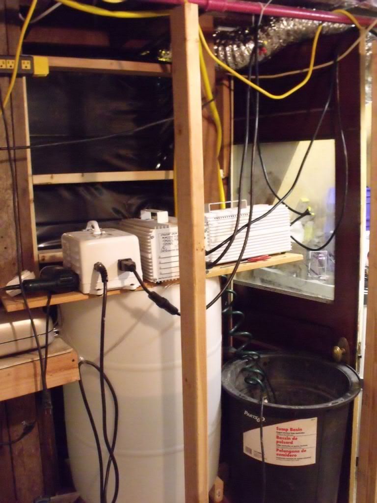 DSCF5849.jpg