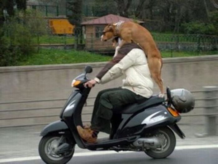 acid_picdump_80.jpg