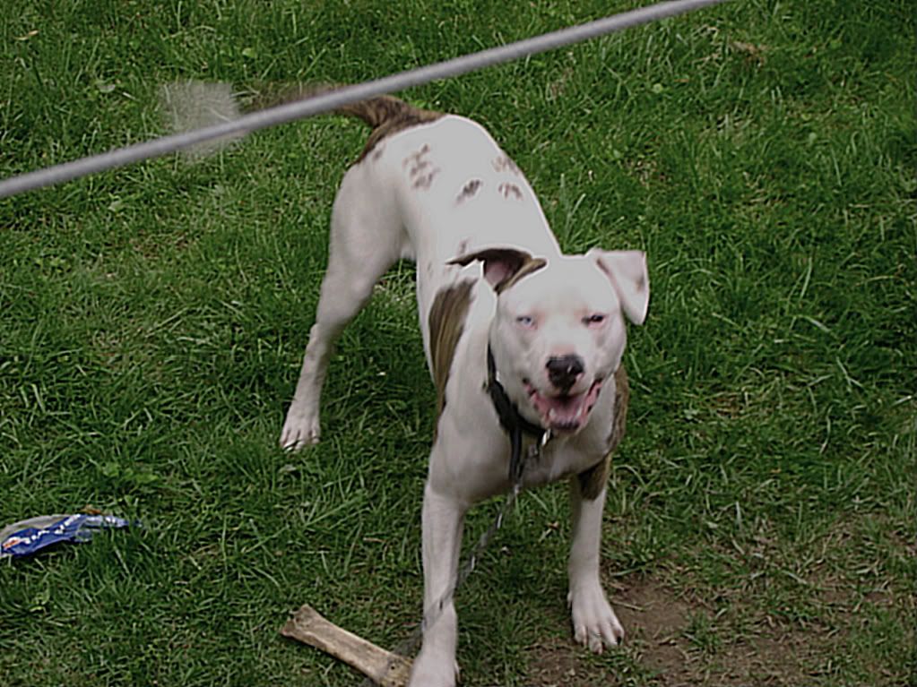 jamie2002-1.jpg