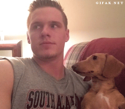 8YjwnMD.gif