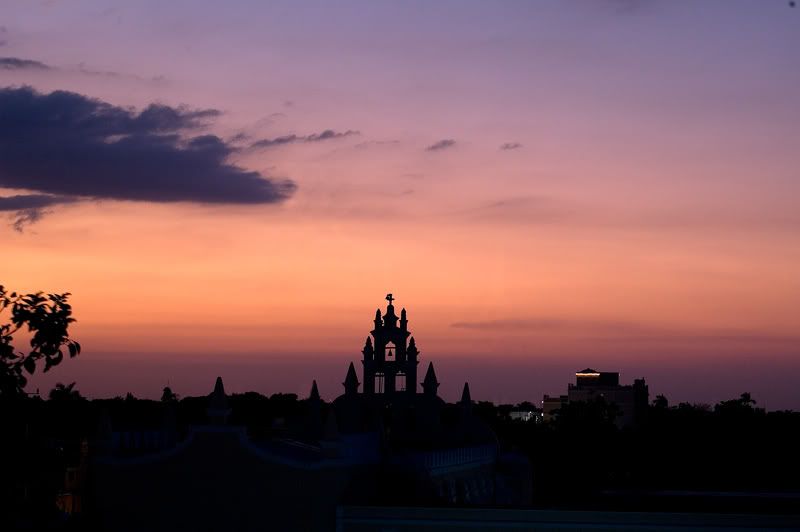 DSC_3581.jpg