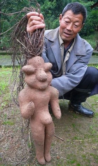 acid_picdump_78.jpg