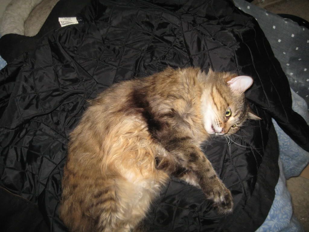 Camera231.jpg
