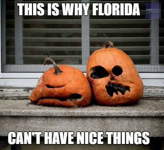 15 Downright Funny Memes You'll Only Get If You're From Florida'll Only Get If You're From Florida