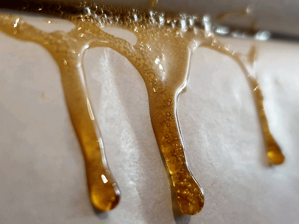 Fresh honey - GIF on Imgur
