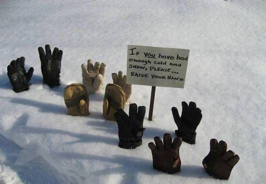 Raise your hand if you're had enough snow! | Winter humor, Snow humor, Cold  humor