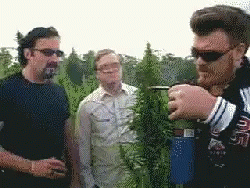 Drugs Weed GIF - Drugs Weed Grass GIFs