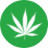 cannabis.wiki