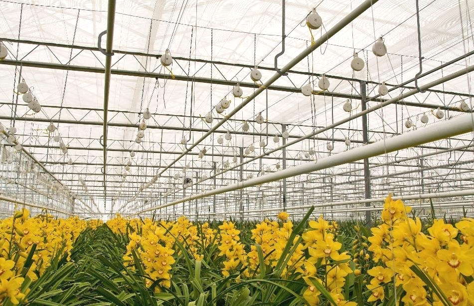 www.greenhousegrower.com