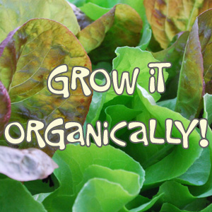 www.grow-it-organically.com