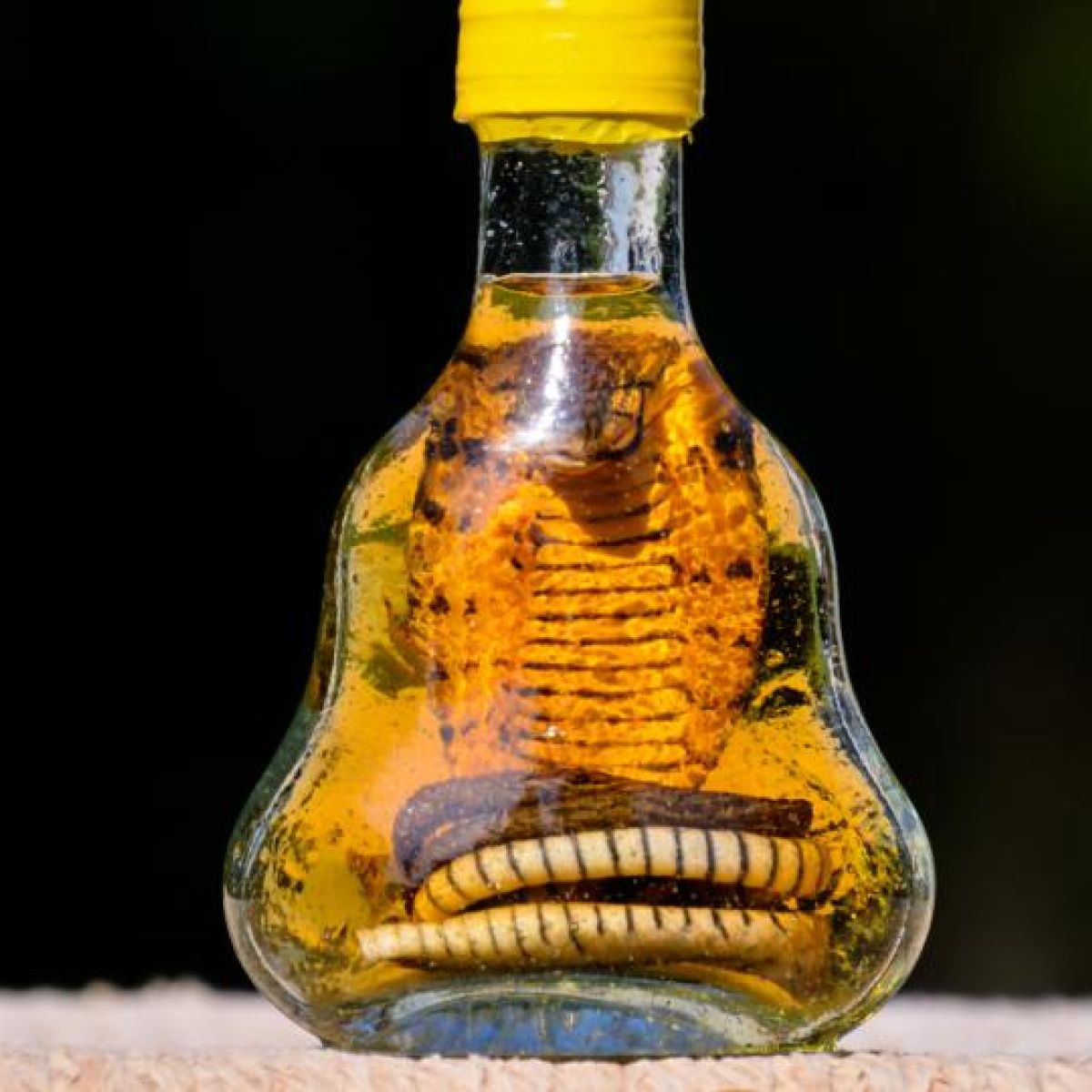 Beware the snake-oil merchants of alternative medicine - your life could  depend on it