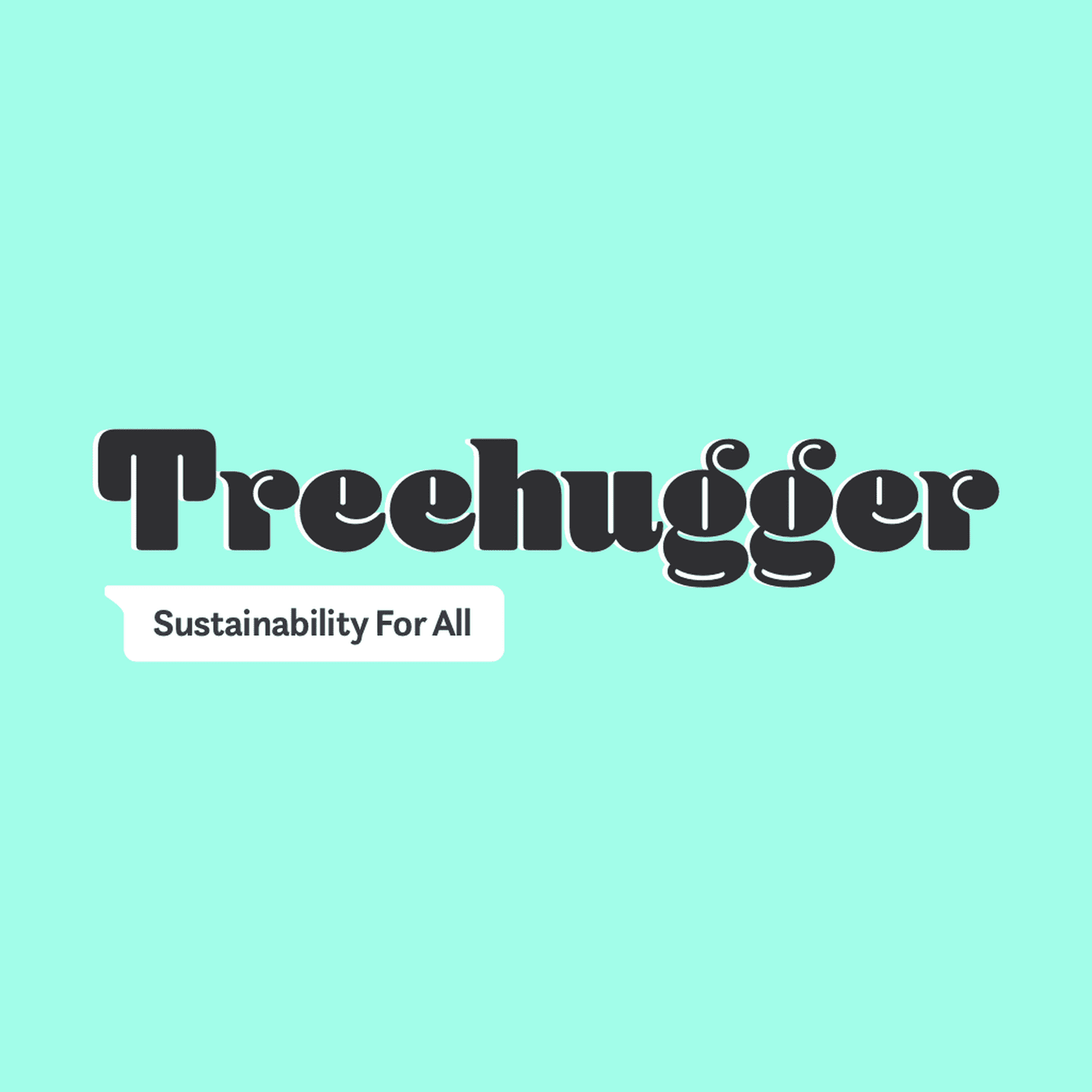 www.treehugger.com