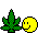 Weed :weed: :weed: